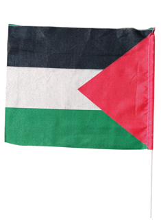 پرچم فلسطین