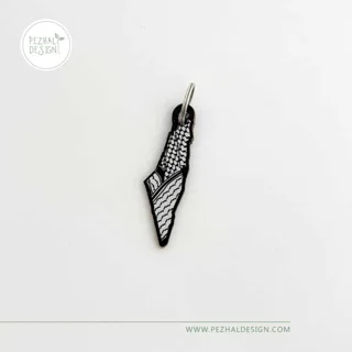 جاسویچی کوفیه در نقشه فلسطین