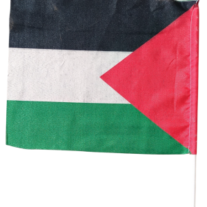 پرچم فلسطین