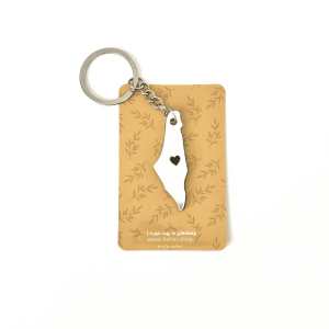 جاکلیدی نقشه فلسطین آینه‌ای